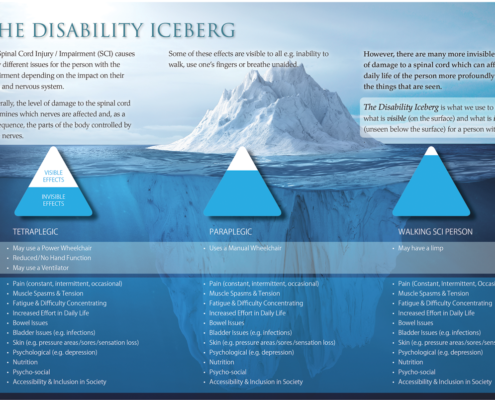Disability Iceberg